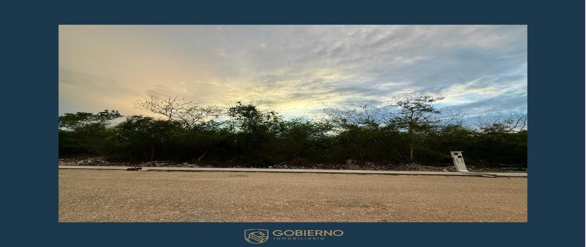 Foto de terreno habitacional en venta en  , paraíso, mérida, yucatán, 30142238 No. 04