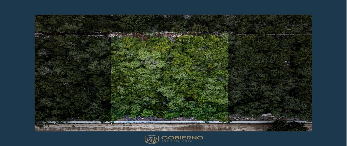 Foto de terreno habitacional en venta en  , paraíso, mérida, yucatán, 30142238 No. 05