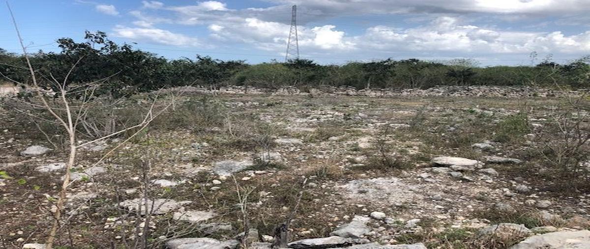 Foto de terreno habitacional en , paraíso, mérida, yucatán, 30174681 foto 04 Foto de terreno habitacional en venta en , paraíso, mérida, yucatán, 30174681 No. 04