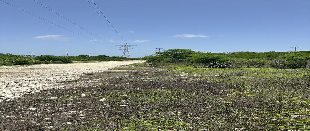 Foto de terreno habitacional en venta en  , paraíso, mérida, yucatán, 0 No. 04