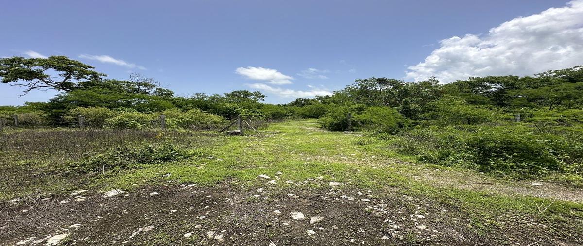Foto de terreno habitacional en venta en  , paraíso, mérida, yucatán, 0 No. 05