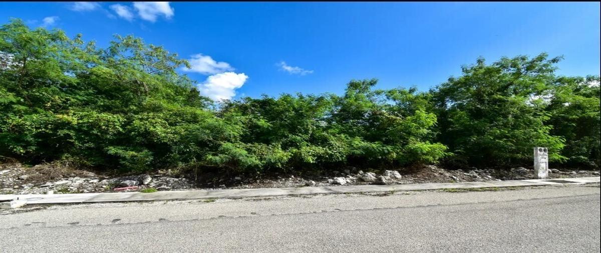 Foto de terreno habitacional en venta en . , paraíso, mérida, yucatán, 0 No. 03