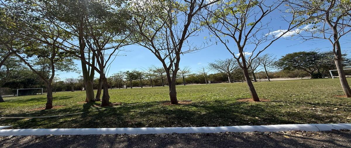 Foto de terreno habitacional en venta en  , paraíso, mérida, yucatán, 0 No. 04