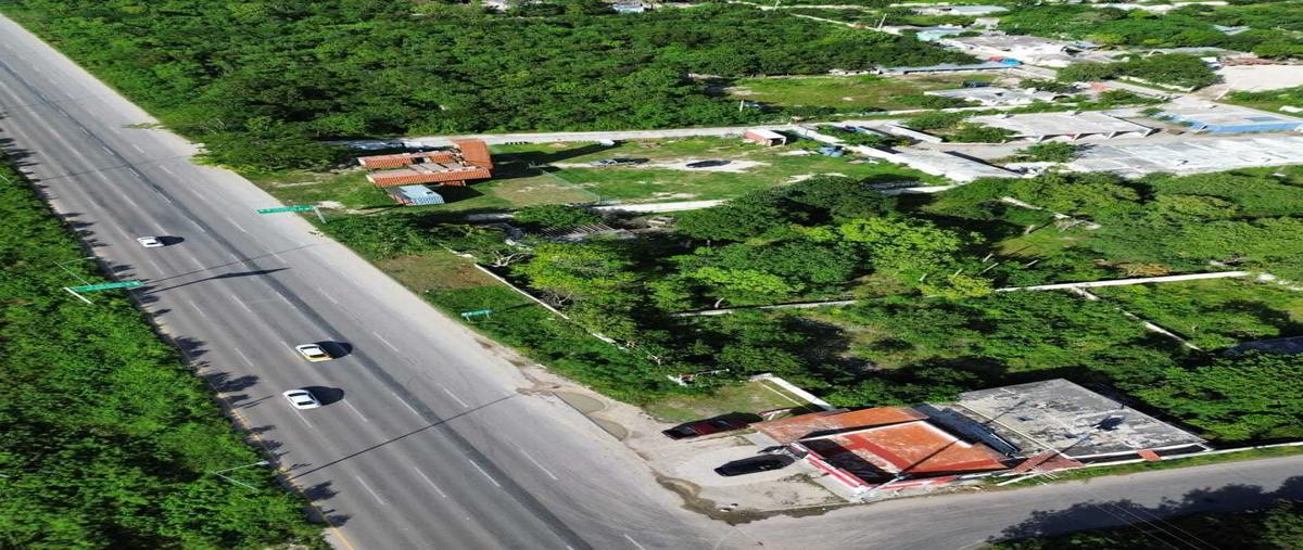 Foto de terreno habitacional en renta en  , paraíso, mérida, yucatán, 0 No. 05