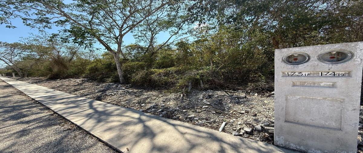 Foto de terreno habitacional en , paraíso, mérida, yucatán, 30345302 foto 01 Foto de terreno habitacional en venta en , paraíso, mérida, yucatán, 30345302 No. 01