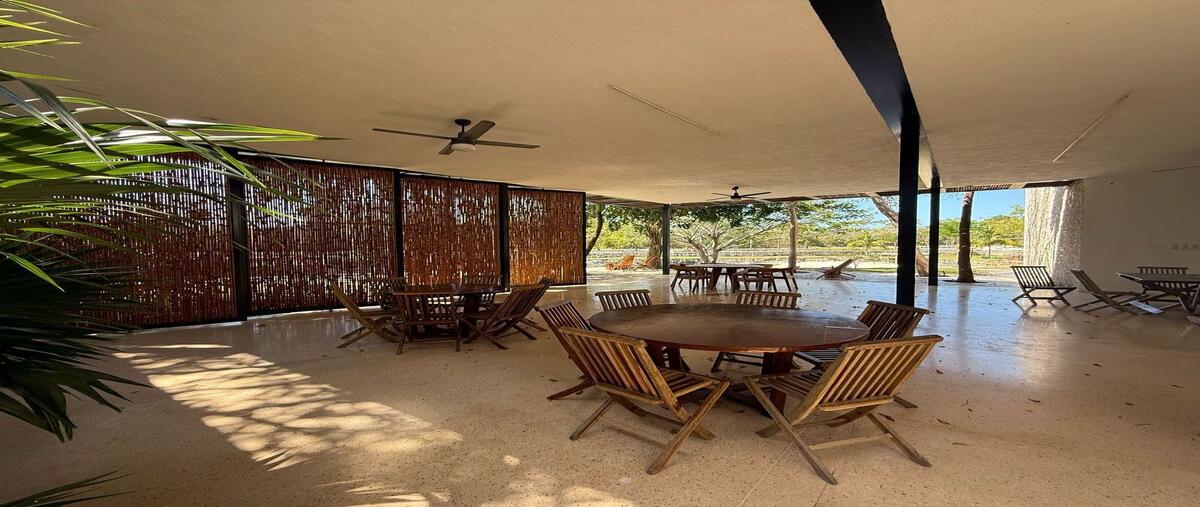 Foto de terreno habitacional en , paraíso, mérida, yucatán, 30345302 foto 04 Foto de terreno habitacional en venta en , paraíso, mérida, yucatán, 30345302 No. 04