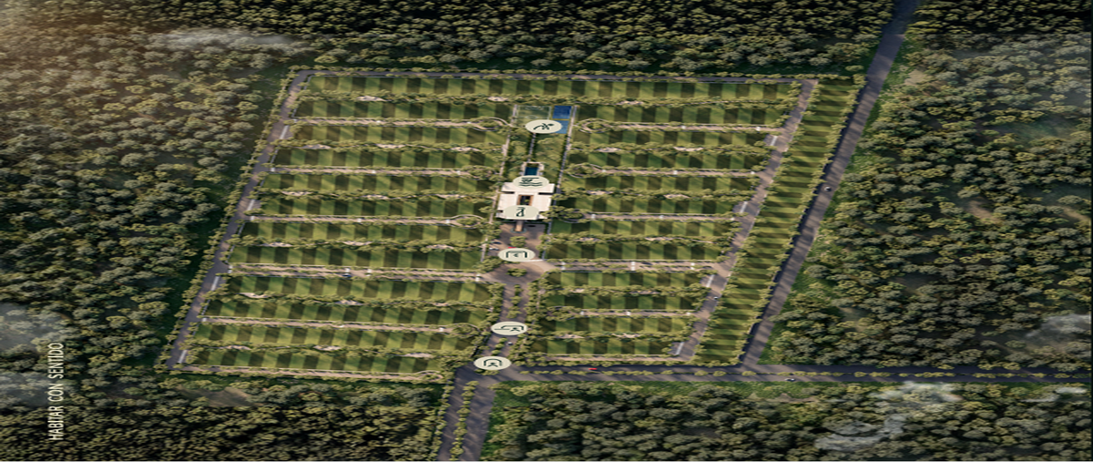 Foto de terreno habitacional en venta en  , paraíso, mérida, yucatán, 0 No. 03