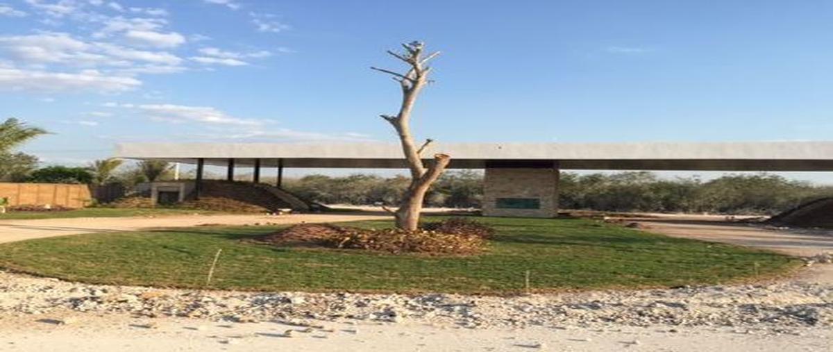 Foto de terreno habitacional en , paraíso, mérida, yucatán, 30450345 foto 04 Foto de terreno habitacional en venta en , paraíso, mérida, yucatán, 30450345 No. 04