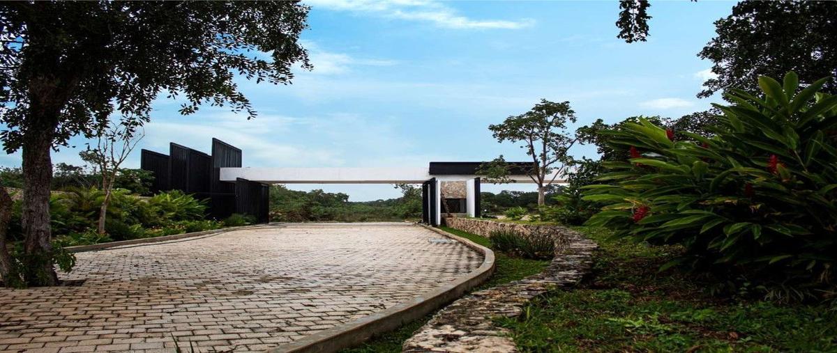 Foto de terreno habitacional en venta en  , paraíso, mérida, yucatán, 0 No. 03