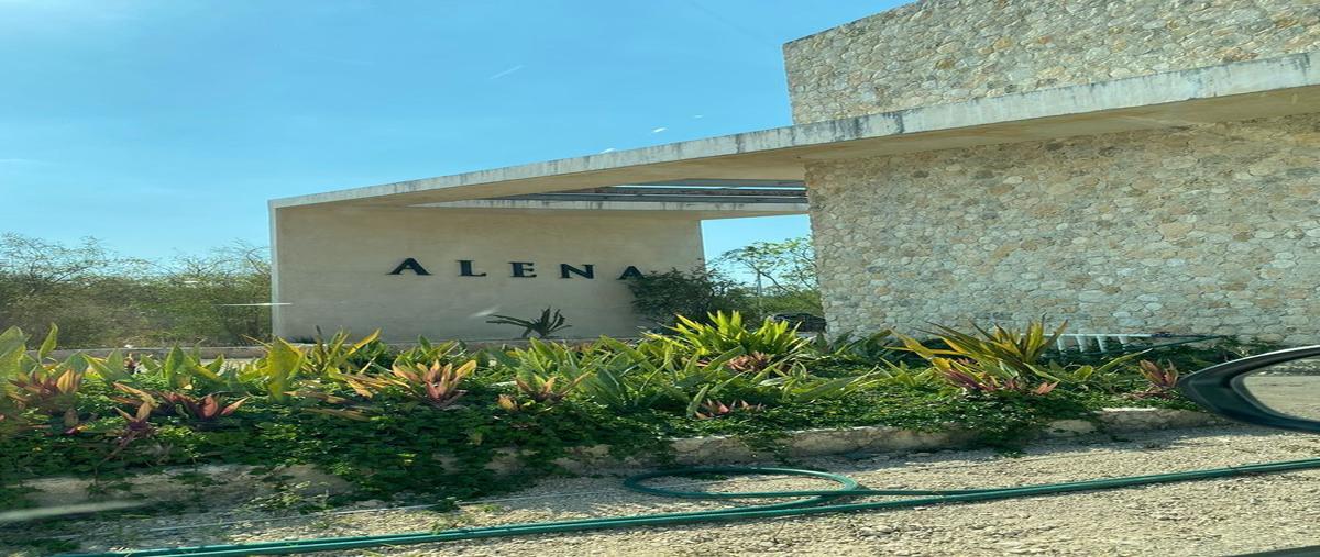 Foto de terreno habitacional en venta en  , paraíso, mérida, yucatán, 0 No. 03