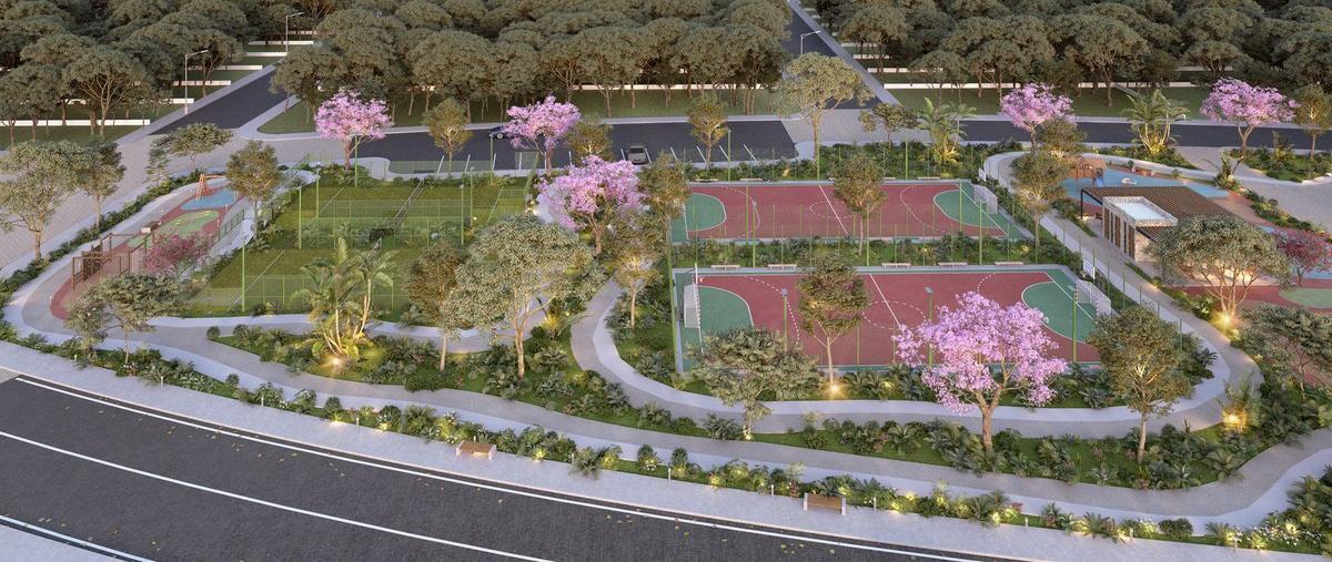 Foto de terreno habitacional en , paraíso, mérida, yucatán, 0 foto 04 Foto de terreno habitacional en venta en , paraíso, mérida, yucatán, 0 No. 04