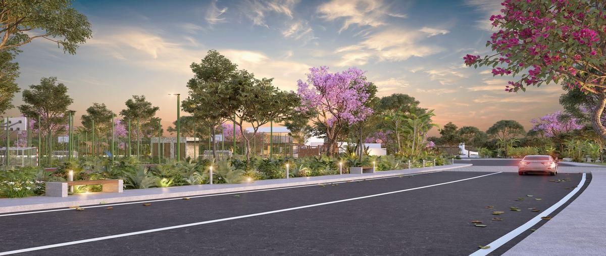 Foto de terreno habitacional en , paraíso, mérida, yucatán, 0 foto 05 Foto de terreno habitacional en venta en , paraíso, mérida, yucatán, 0 No. 05