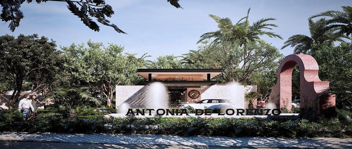 Foto de terreno habitacional en venta en  , paraíso, mérida, yucatán, 0 No. 03
