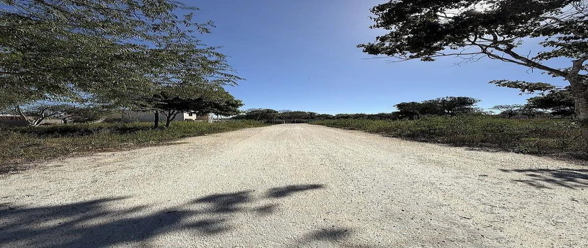 Foto de terreno habitacional en venta en  , paraíso, mérida, yucatán, 0 No. 03
