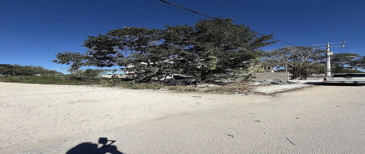 Foto de terreno habitacional en venta en  , paraíso, mérida, yucatán, 0 No. 05