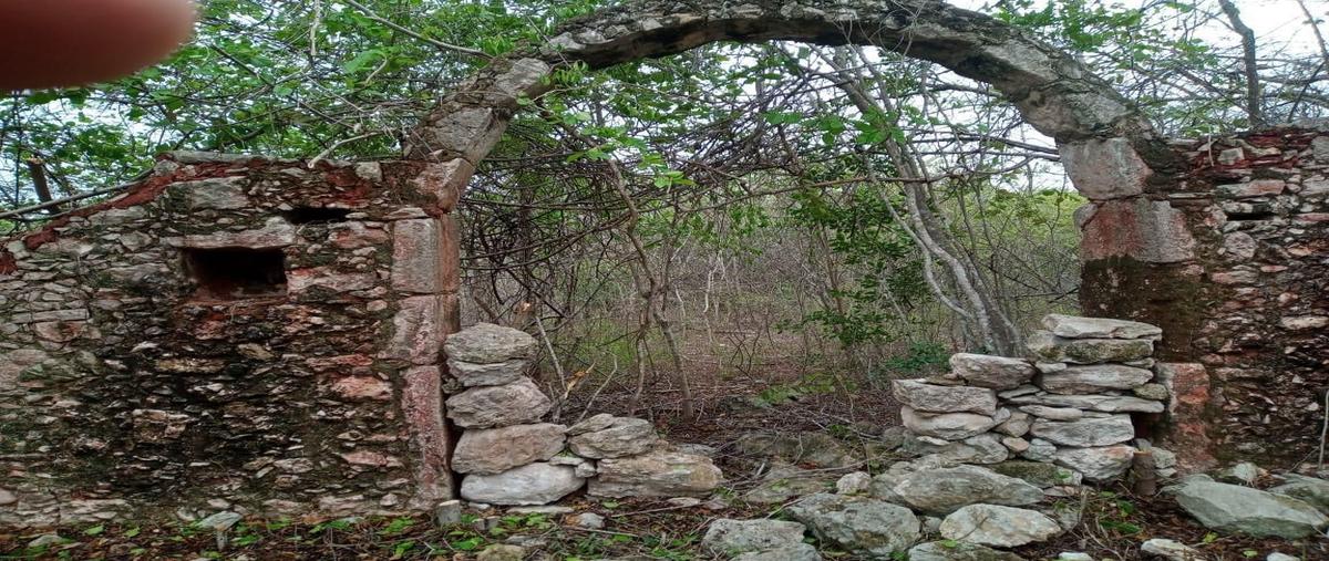 Foto de terreno habitacional en venta en  , paraíso, mérida, yucatán, 0 No. 03