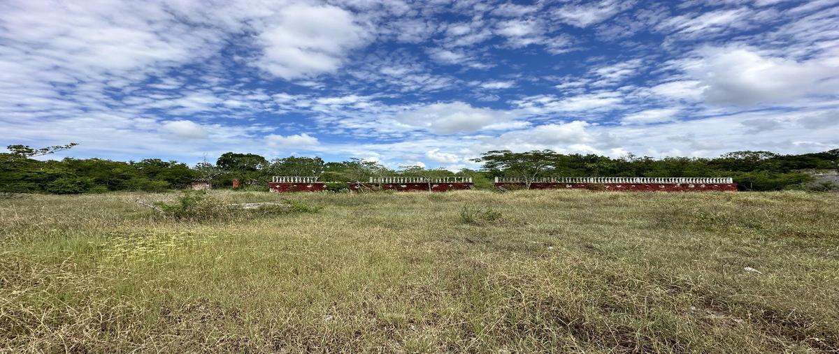 Foto de terreno habitacional en venta en  , paraíso, mérida, yucatán, 0 No. 04