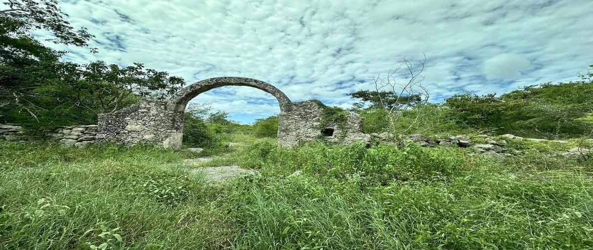 Foto de terreno habitacional en venta en  , paraíso, mérida, yucatán, 0 No. 05