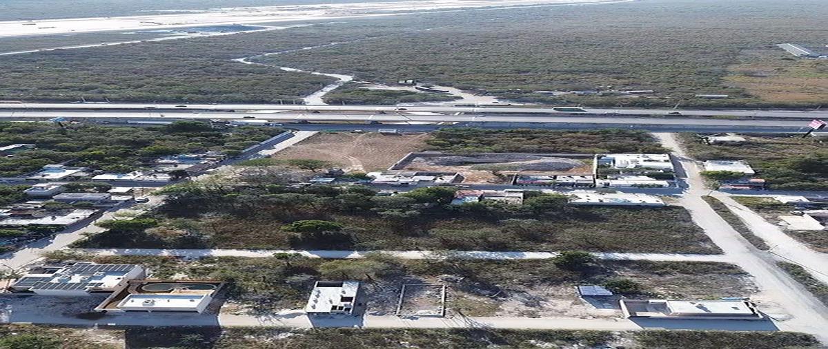 Foto de terreno habitacional en , paraíso, mérida, yucatán, 30842719 foto 06 Foto de terreno habitacional en venta en , paraíso, mérida, yucatán, 30842719 No. 06