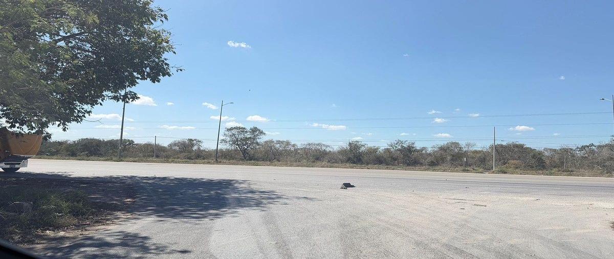 Foto de terreno habitacional en renta en  , paraíso, mérida, yucatán, 0 No. 03