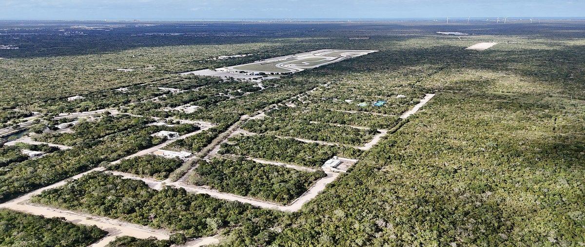 Foto de terreno habitacional en , paraíso, mérida, yucatán, 0 foto 04 Foto de terreno habitacional en venta en , paraíso, mérida, yucatán, 0 No. 04