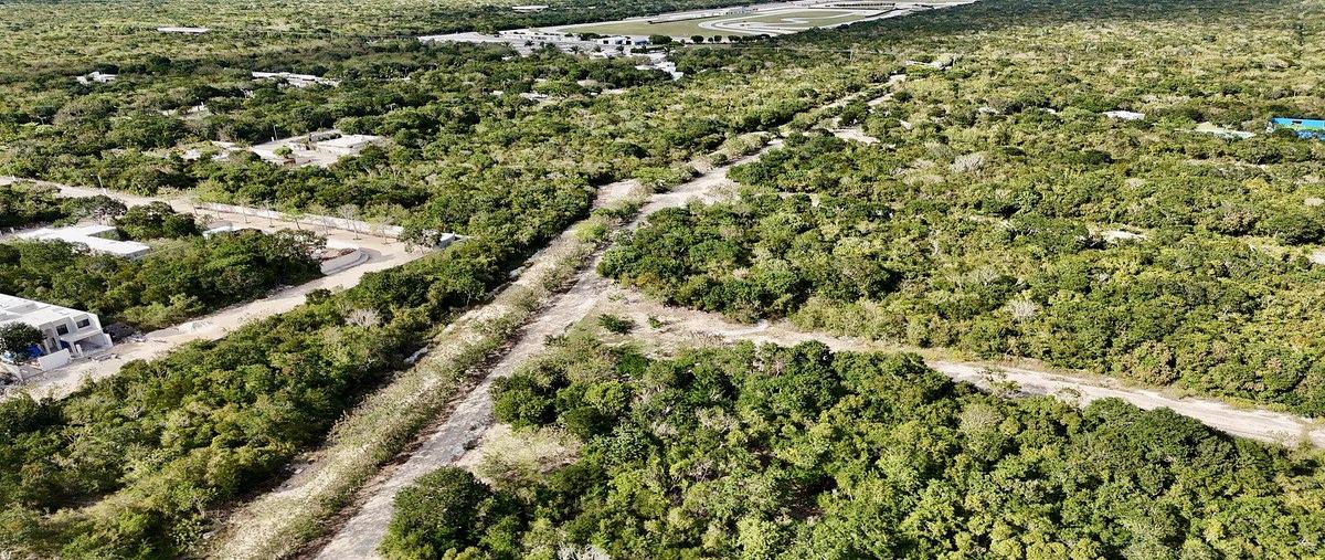 Foto de terreno habitacional en , paraíso, mérida, yucatán, 0 foto 05 Foto de terreno habitacional en venta en , paraíso, mérida, yucatán, 0 No. 05