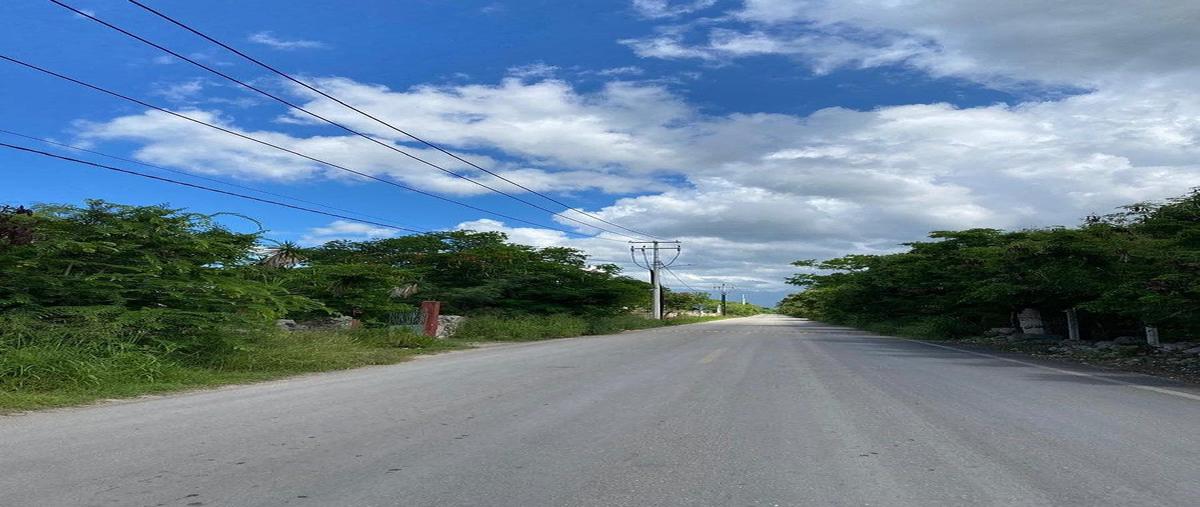 Foto de terreno habitacional en venta en  , paraíso, mérida, yucatán, 0 No. 04