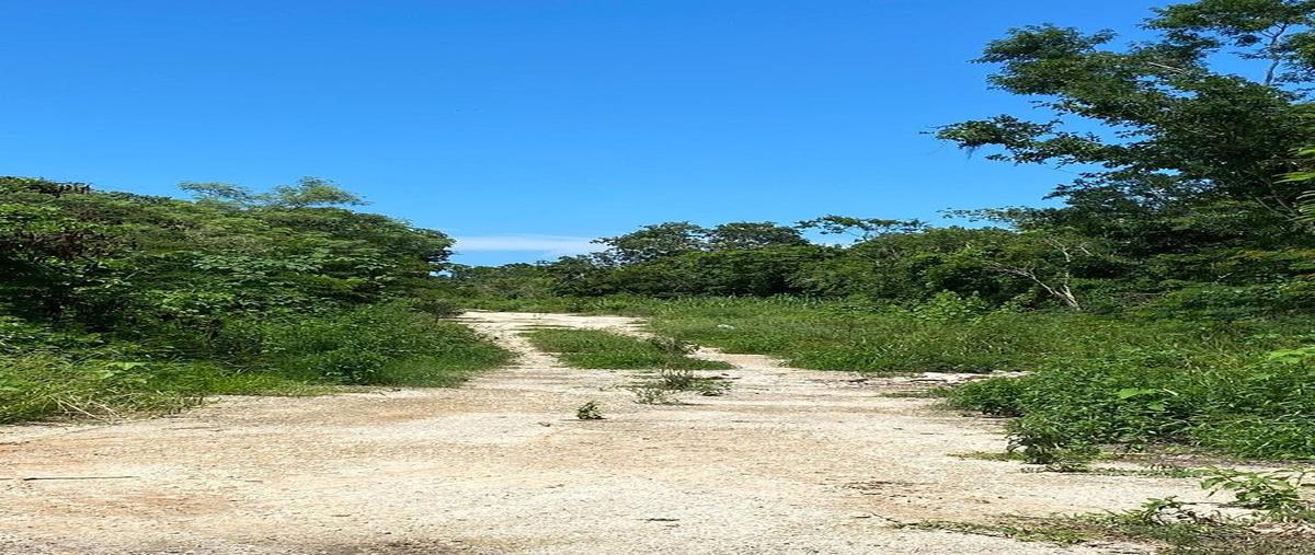 Foto de terreno habitacional en venta en  , paraíso, mérida, yucatán, 0 No. 05