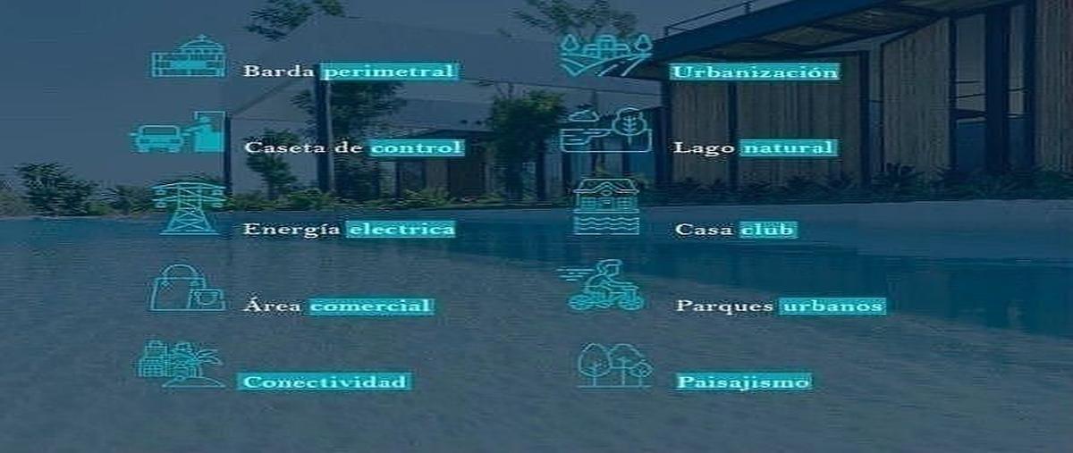 Foto de terreno habitacional en venta en  , paraíso, mérida, yucatán, 0 No. 04