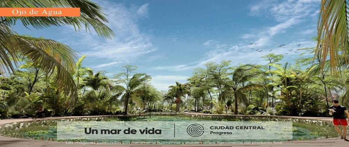 Foto de terreno habitacional en venta en paraiso , paraíso, mérida, yucatán, 0 No. 03