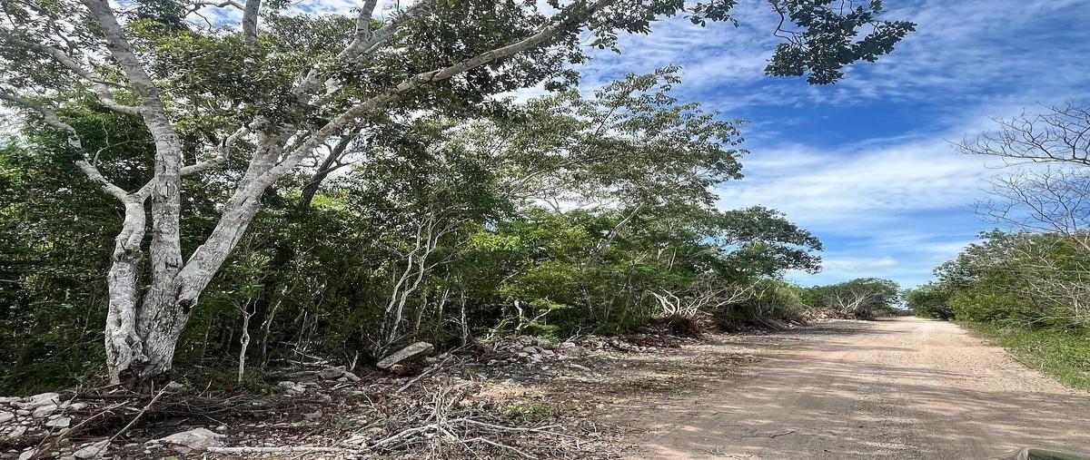 Foto de terreno habitacional en venta en paraiso progreso , paraíso, mérida, yucatán, 30697895 No. 05