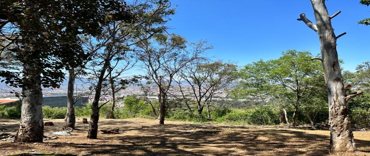 Foto de terreno habitacional en venta en paraíso , rincón de altozano, morelia, michoacán de ocampo, 27319050 No. 04