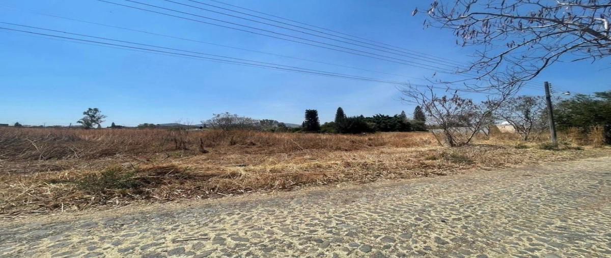Foto de terreno habitacional en , paraíso tlahuica, ayala, morelos, 0 foto 05 Foto de terreno habitacional en venta en , paraíso tlahuica, ayala, morelos, 0 No. 05