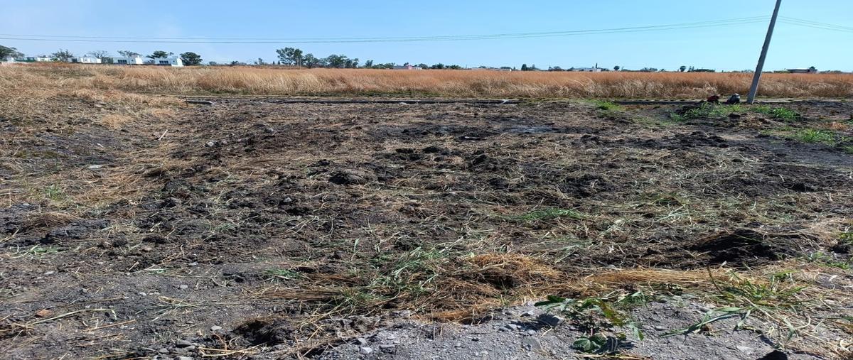 Foto de terreno habitacional en venta en  , paraíso tlahuica, ayala, morelos, 0 No. 05