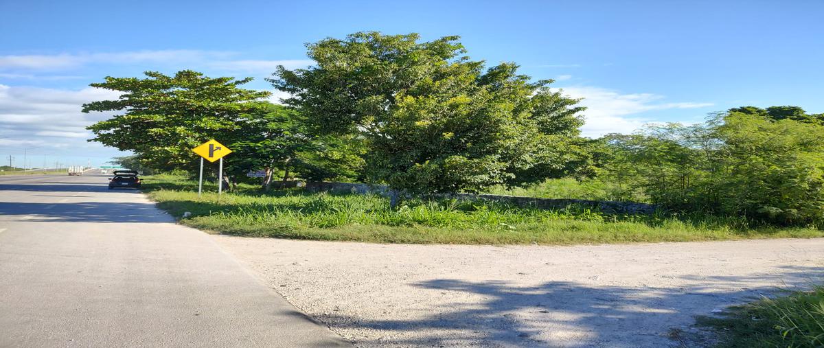Foto de terreno habitacional en venta en paraiso whi288316, paraíso, mérida, yucatán, 25550566 No. 04