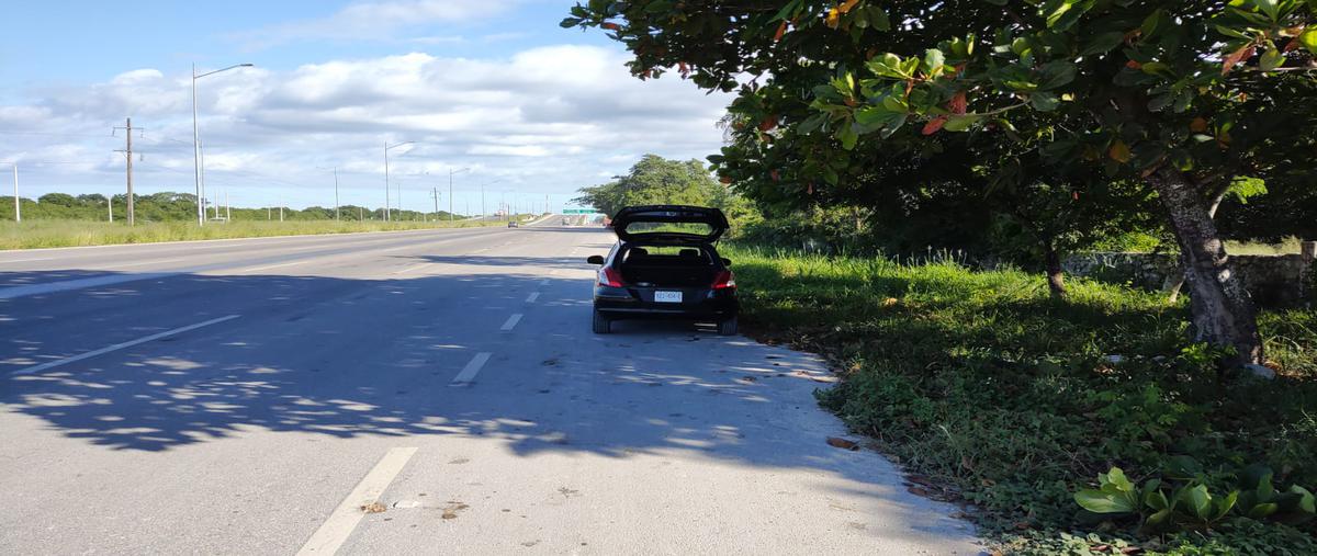 Foto de terreno habitacional en venta en paraiso whi288316, paraíso, mérida, yucatán, 25550566 No. 05