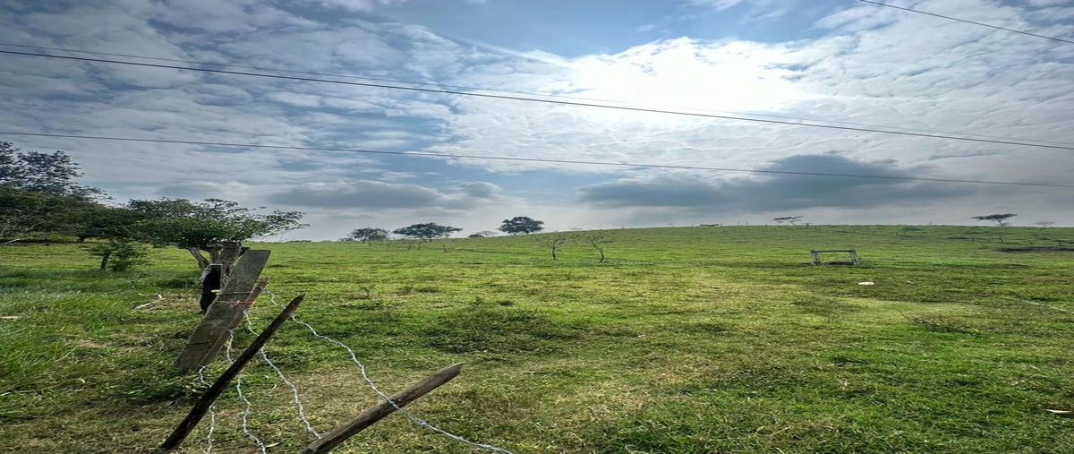 Foto de terreno habitacional en , paraíso zacatal, loma bonita, oaxaca, 0 foto 03 Foto de terreno habitacional en venta en , paraíso zacatal, loma bonita, oaxaca, 0 No. 03