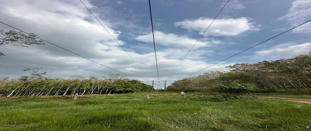 Foto de terreno habitacional en , paraíso zacatal, loma bonita, oaxaca, 0 foto 04 Foto de terreno habitacional en venta en , paraíso zacatal, loma bonita, oaxaca, 0 No. 04