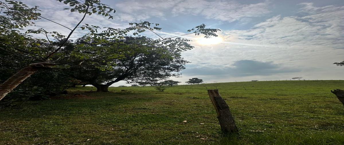 Foto de terreno habitacional en , paraíso zacatal, loma bonita, oaxaca, 0 foto 05 Foto de terreno habitacional en venta en , paraíso zacatal, loma bonita, oaxaca, 0 No. 05