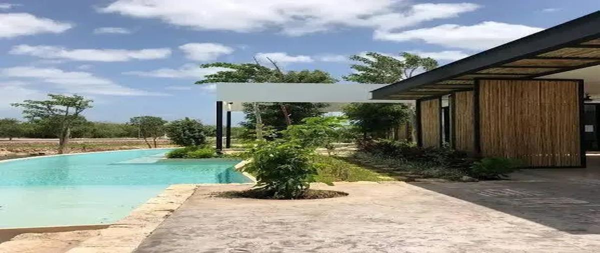 Foto de terreno habitacional en venta en paraísoprogreso , paraíso, mérida, yucatán, 0 No. 05