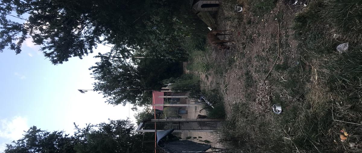 Foto de terreno habitacional en venta en paraje el cadillal , grande, cuilápam de guerrero, oaxaca, 28851539 No. 03