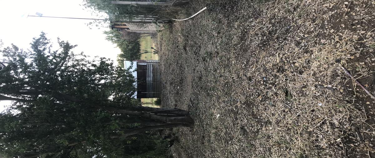 Foto de terreno habitacional en venta en paraje el cadillal , grande, cuilápam de guerrero, oaxaca, 28851539 No. 04