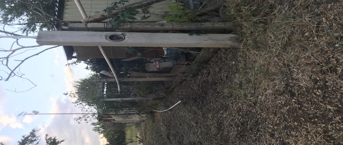 Foto de terreno habitacional en venta en paraje el cadillal , grande, cuilápam de guerrero, oaxaca, 28851539 No. 05