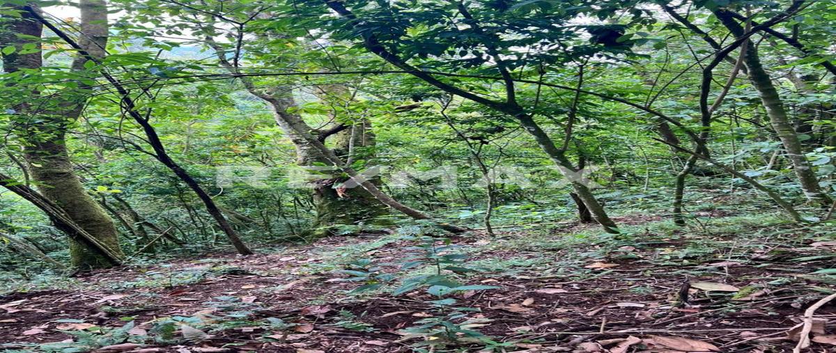 Foto de terreno comercial en venta en paraje el fresnillo , la esperanza, candelaria loxicha, oaxaca, 0 No. 03