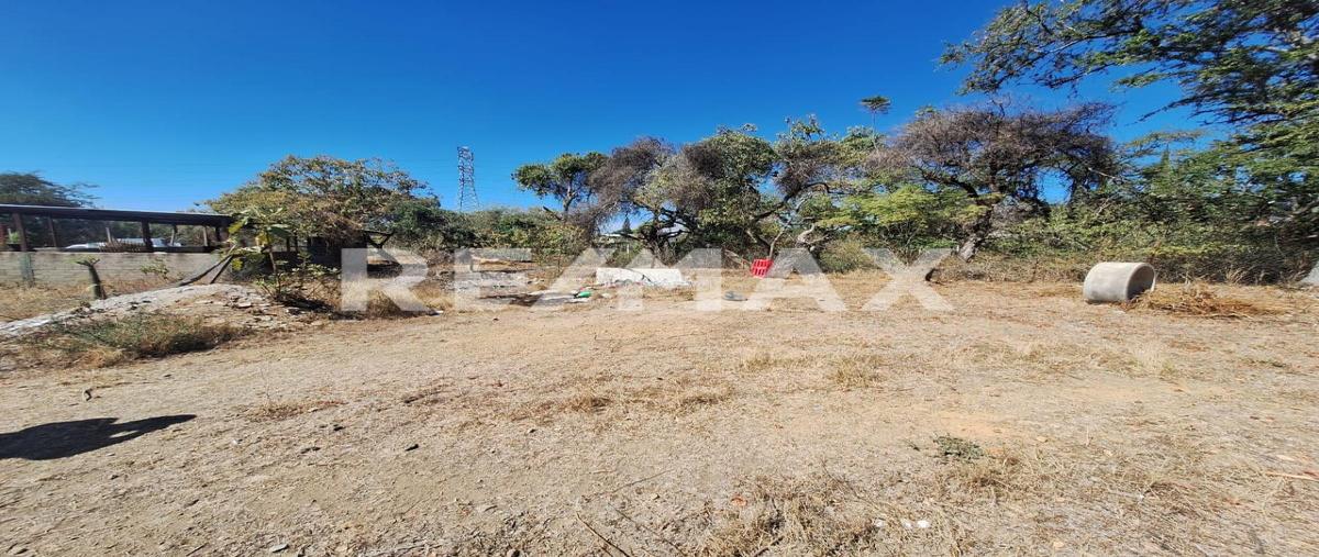 Foto de terreno habitacional en venta en paraje "el pedregal" , san francisco tutla, santa lucía del camino, oaxaca, 0 No. 03