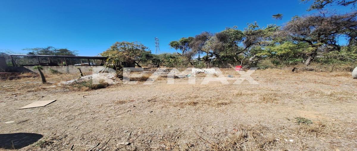 Foto de terreno habitacional en venta en paraje "el pedregal" , san francisco tutla, santa lucía del camino, oaxaca, 0 No. 04