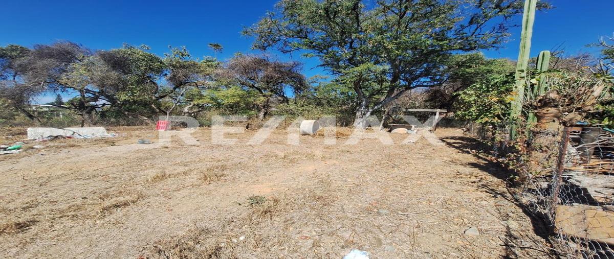 Foto de terreno habitacional en venta en paraje "el pedregal" , san francisco tutla, santa lucía del camino, oaxaca, 0 No. 05