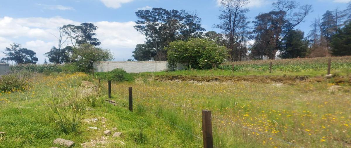 Foto de terreno habitacional en paraje el pozo , santa maría nativitas, calimaya, méxico, 25380721 foto 01 Foto de terreno habitacional en venta en paraje el pozo , santa maría nativitas, calimaya, méxico, 25380721 No. 01