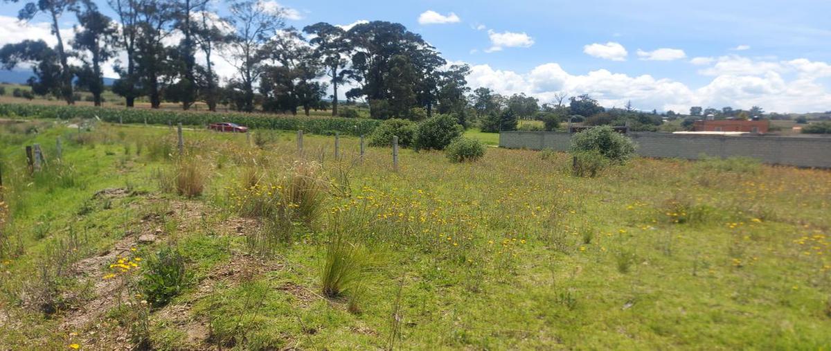 Foto de terreno habitacional en paraje el pozo , santa maría nativitas, calimaya, méxico, 25380721 foto 05 Foto de terreno habitacional en venta en paraje el pozo , santa maría nativitas, calimaya, méxico, 25380721 No. 05