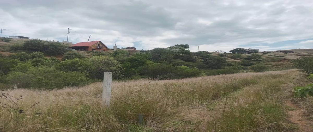 Foto de terreno habitacional en venta en paraje el temblor , oaxaca centro, oaxaca de juárez, oaxaca, 30399561 No. 04